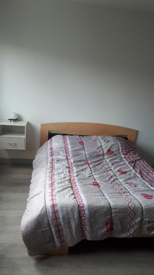 Studio De L'Est Daire Colmar Dış mekan fotoğraf